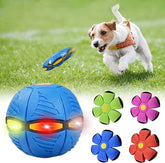 Dog Playtime Alternatives | Fun Dog Toys