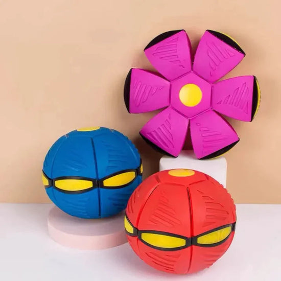 Dog Playtime Alternatives | Fun Dog Toys
