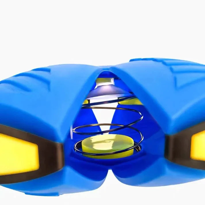 Dog Playtime Alternatives | Fun Dog Toys