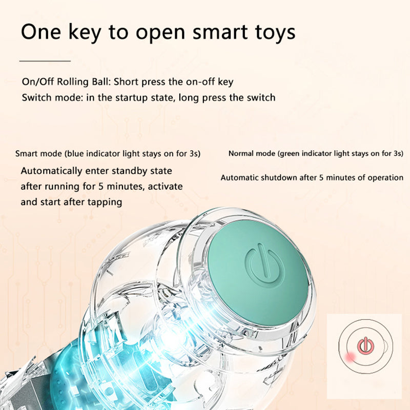Interactive Ball | Smart Rolling Pet Toy