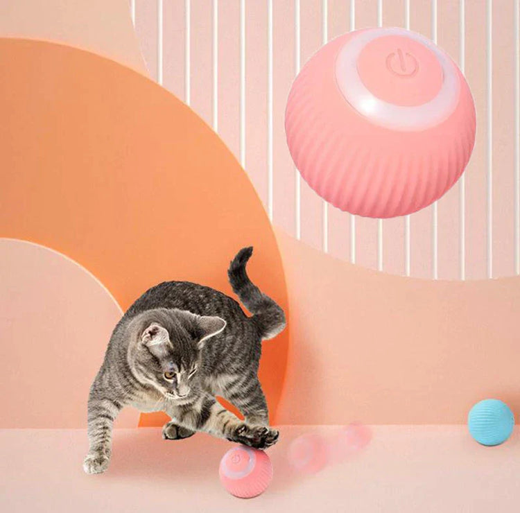 Interactive Ball | Smart Rolling Pet Toy