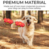 Dog Playtime Alternatives | Fun Dog Toys