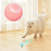 Interactive Ball | Smart Rolling Pet Toy