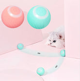 Interactive Ball | Smart Rolling Pet Toy